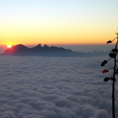 Timeline: Historia Monterrey