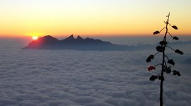 Timeline: Historia Monterrey