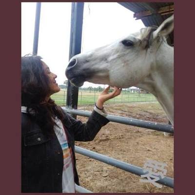 Timeline: Historia Medicina Veterinaria