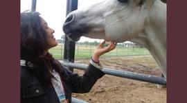 Timeline: Historia Medicina Veterinaria