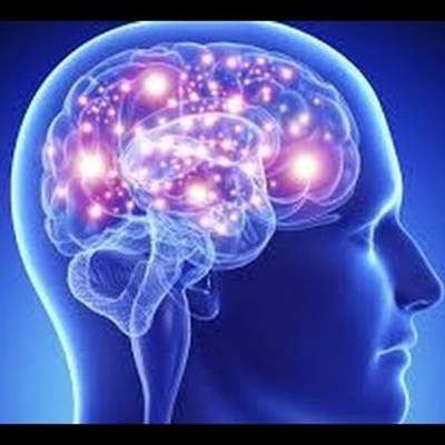 Timeline: sistema nervioso y cerebro