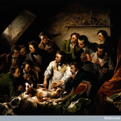 Timeline: Historia de la Medicina Veterinaria