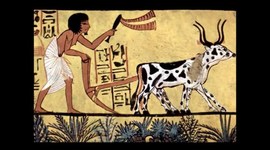 Timeline: HISTORIA DEL COMERCIO INTERNACIONAL