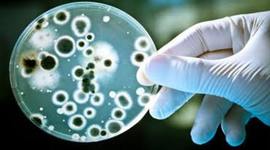 Timeline: Historia de la Microbiología