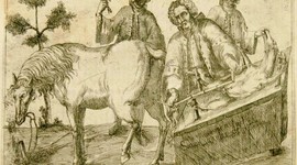 Timeline: establecimiento de los puntos de inicio de la profesión hasta su situación actual