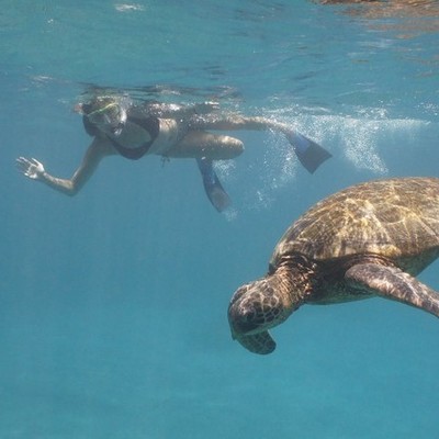 Timeline: My S.M.A.R.T. goals.