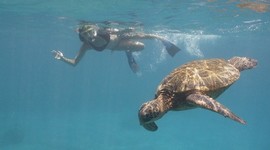 Timeline: My S.M.A.R.T. goals.