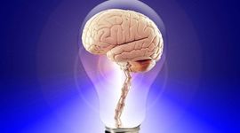 Timeline: Historia reciente de las Neurociencias del Comportamiento