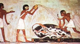 Timeline: HISTORIA DE LA MEDICINA VETERINARIA