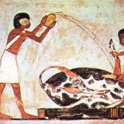 Timeline: Historia de la medicina veterinaria y zootecnia