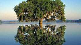 Timeline: Els meus estudis