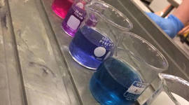 Timeline: Science Rules