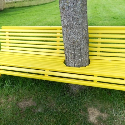 Timeline: Life of Bench