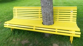 Timeline: Life of Bench