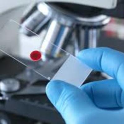 Timeline: 1882 la ciencia desarrollada en la UW permite clases de toxologia