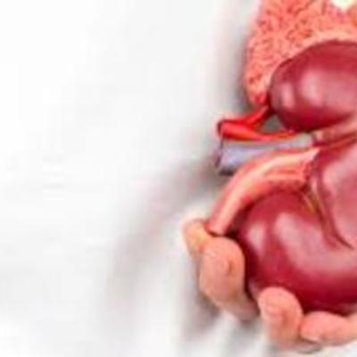 Timeline: Años 70. Se realiza el primer trasplante renal de América Latina.