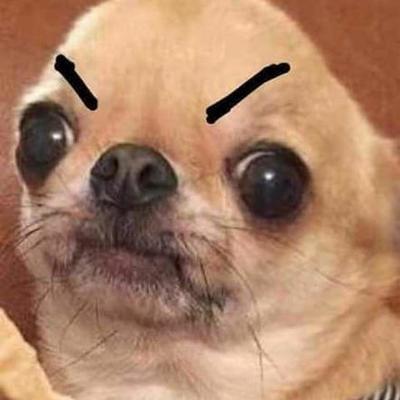 Timeline: Plataformas Educativas