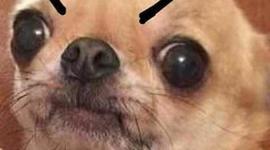 Timeline: Plataformas Educativas