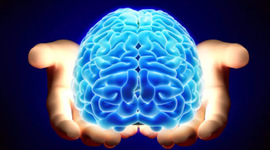 Timeline: desarrollo histórico de la neuropsicologia