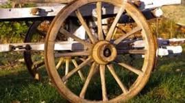 Timeline: tecnologia