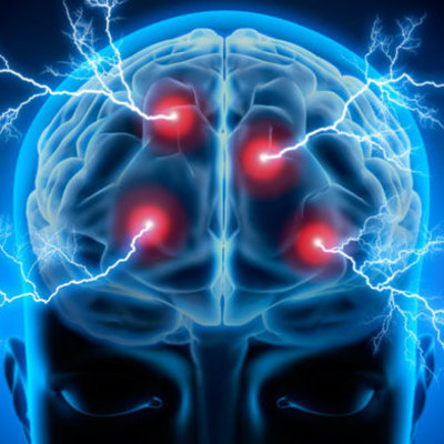 Timeline: Historia De La Neurociencia