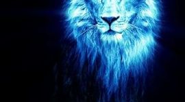 Timeline: Royalty of Everglade