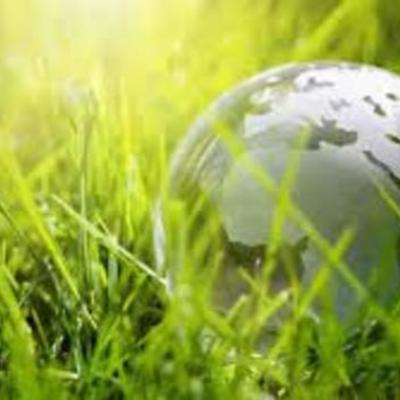 Timeline: المنظمات الخضراء في البلاد