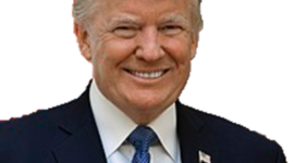 Timeline: Grêce Antique