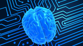 Timeline: Neurociencias de la Conducta