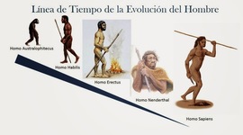 Timeline: La Evolución del Hombre