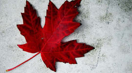 Timeline: Canada: 1700 - 1900