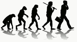 Timeline: La evolucion del hombre