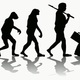 Evolución