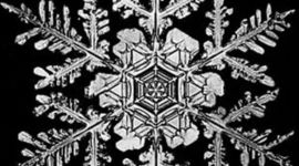 Timeline: 5th Grade Winter Celebrations