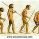 Evolucion