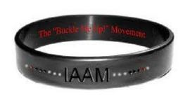 Timeline: Landon Wagner's Timeline