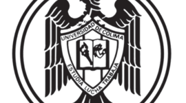 Timeline: Linea del tiempo (David Villa Cervantes 4°G 20133005)