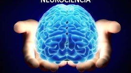 Timeline: las neurociencias de la conducta, un viaje que no se detiene