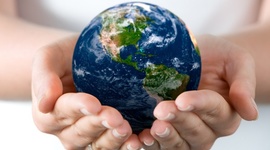 Timeline: المنظومات الخضراء