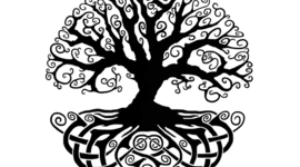 Timeline: Un Cronograma de mi Vida