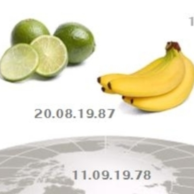 Timeline: Historia de la clasificación arancelaria