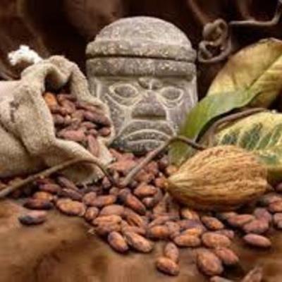 Timeline: Linea del tiempo de los Tributos