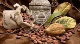 Timeline: Linea del tiempo de los Tributos