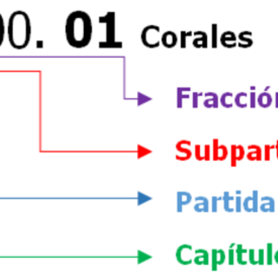 Timeline: Origen de la Clasificación Arancelaria
