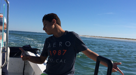 Timeline: Mi Linea de tiempo