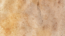 Timeline: Construcción de la gestión de talento humano