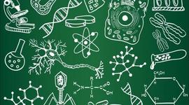 Timeline: Los primeros científicos