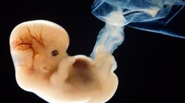 Timeline: HISTORIA DE LA QUIMICA