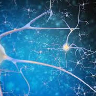 Timeline: historia de la neurociencia de la conducta