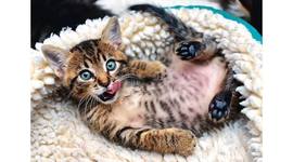 Timeline: Személyem